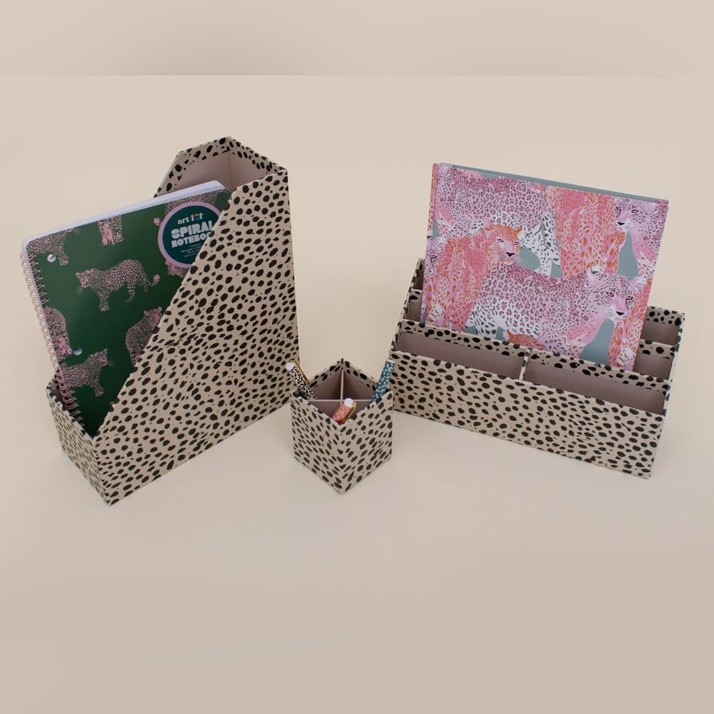 Desk organizer